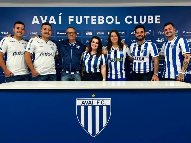 Avaí busca confirmar G4 contra o Paysandu na 15ª rodada da Série B